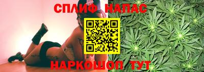 mdpv Кандалакша