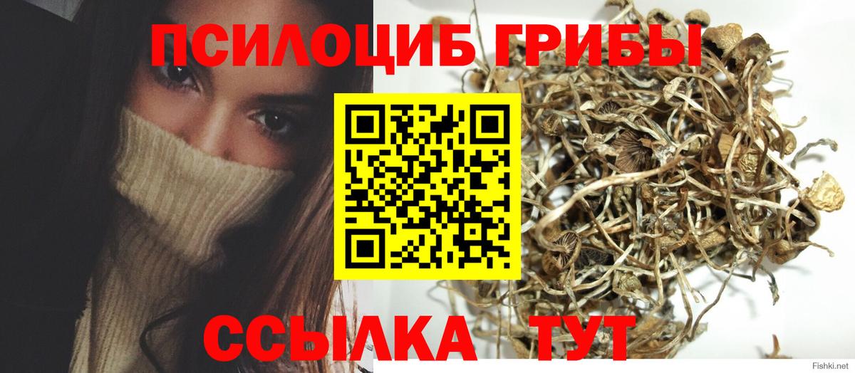 Галлюциногенные грибы GOLDEN TEACHER  наркошоп  Владикавказ  Псилоцибиновые грибы Psilocybe  Вход с VPN 