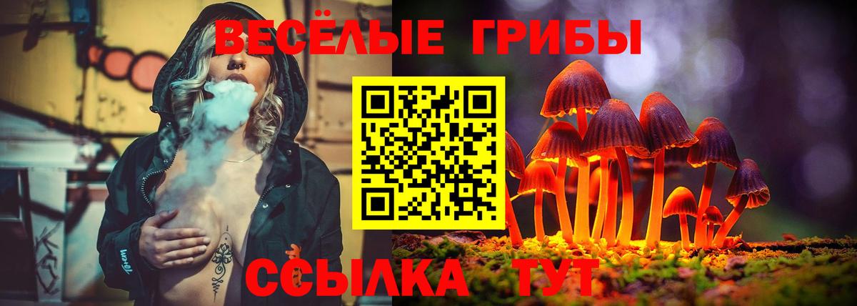 Псилоцибиновые грибы Magic Shrooms Владикавказ